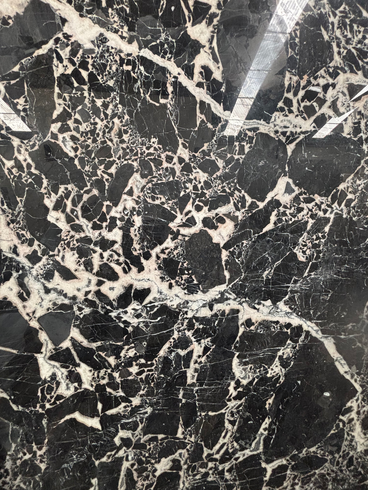 Granito grand antique brillado